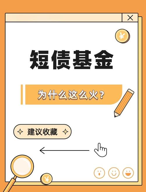 _基金有无风险_ 债券基金投资策略 