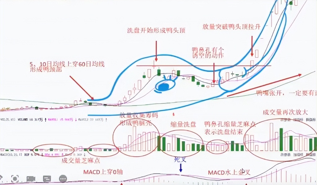老鸭头股票形态_老鸭头技术分析要点_股票最好的技术形态是哪几种