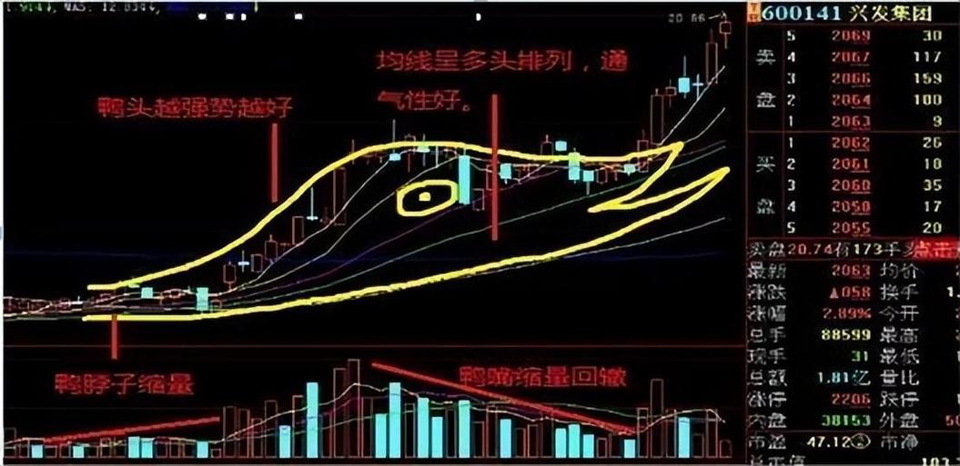股票最好的技术形态是哪几种_老鸭头技术分析要点_老鸭头股票形态
