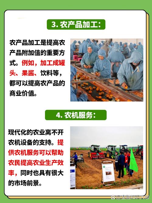 代理门路小资本创业_农村小包工头_农产品销售代理人