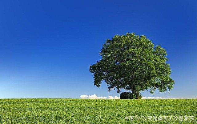 借货赚钱_过去零元的代理致富好买卖_复制项目赚钱