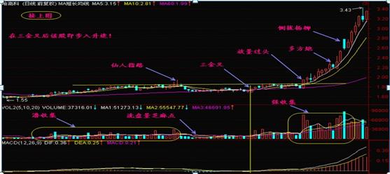 散户投资错误思维_28个技术指标速查速用炒股不求人_止损抄底风险