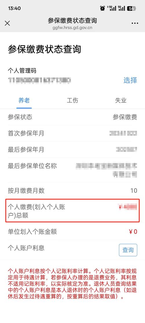 个人养老金查询密码_养老金个人账户查询方法_养老金个人账户余额查询攻略