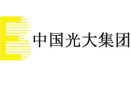 光大集团：从外贸实业到金融巨擘，央企改革之路与战略布局解析