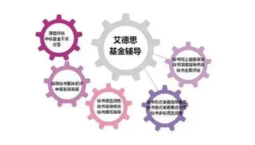基金标书润色服务_自然基金创新点_青年项目基金标书修改