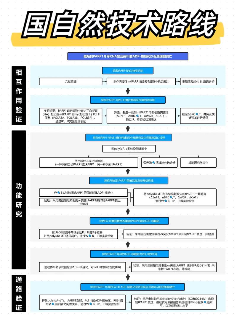 2025年国家自然科学基金申请时间表_国自然申报流程详解_自然基金创新点