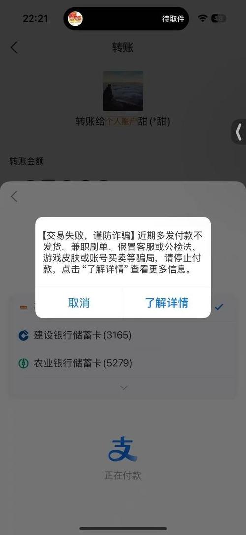 支付宝延时到账升级2.0_支付宝延时到账升级防诈骗_支付宝提示有被骗风险
