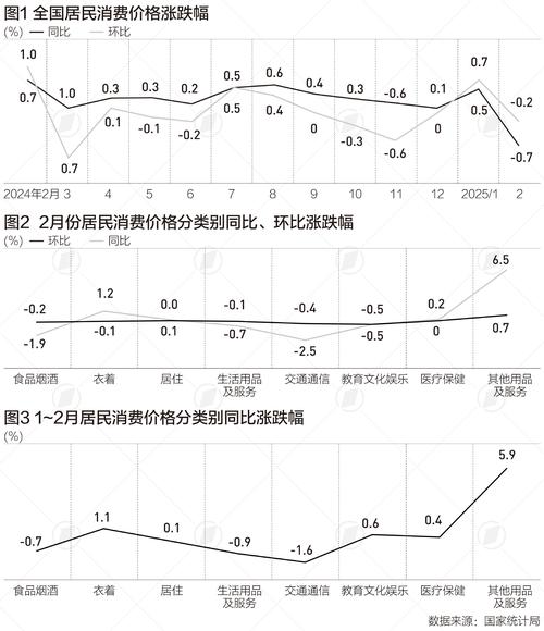 中国近十年cpi指数走势图_服务价格涨幅扩大带动_CPI同比上涨分析