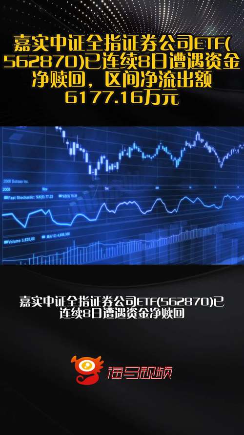 股市有多少家基金公司_嘉实中证全指证券公司ETF规模分析_嘉实中证全指证券公司ETF资金净流出