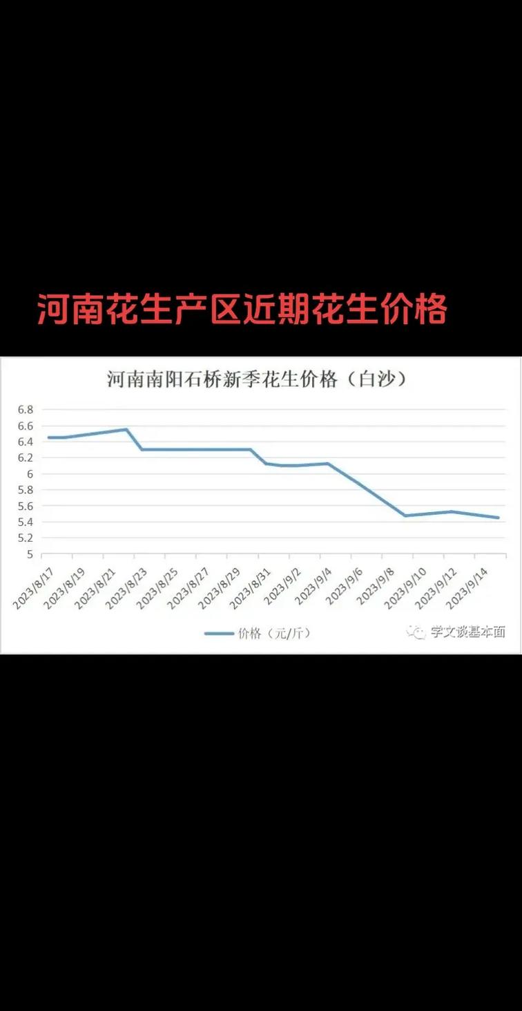 河南浚县花生价格为啥突然大幅上涨？快来看背后原因