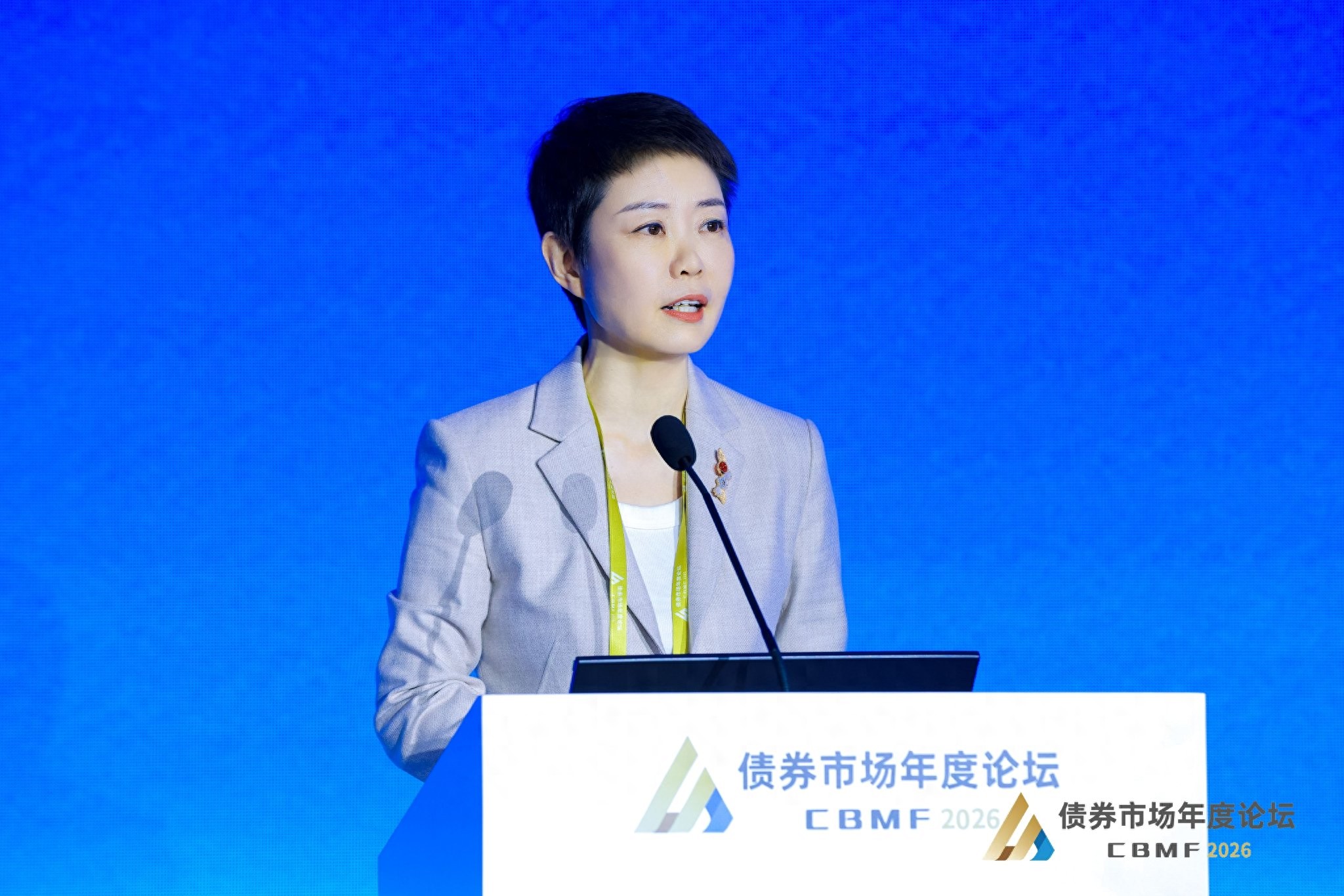 第一创业证券债券市场洞察_2026债券市场年度论坛_中国债券市场体系