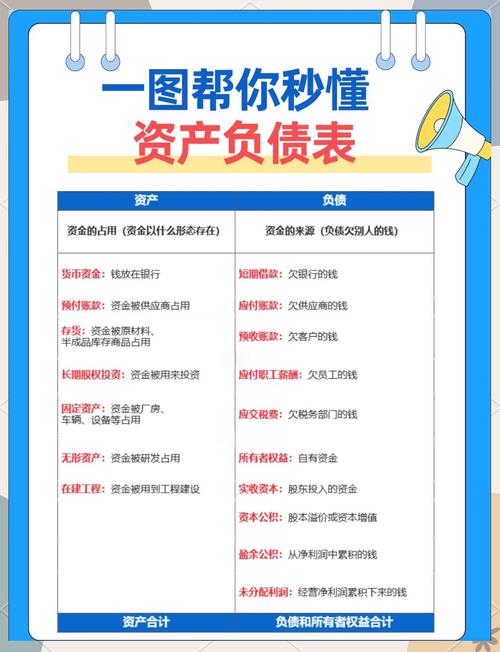 资产负债表分析_怎样看懂资产负债表_新公司资产负债表实例