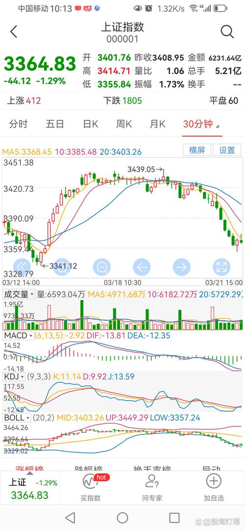 2006年11月投资策略报告：关注大盘蓝筹股，规避中小板压力