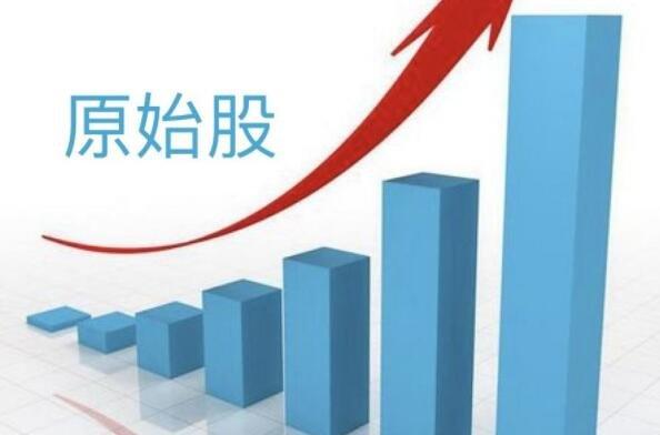 购买公司原始股风险大？一文带你了解原始股上市那些事儿