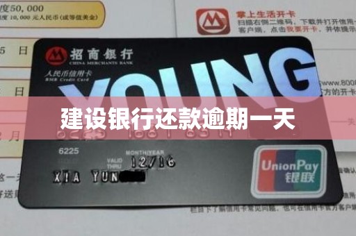 建行还款逾期一天咋处理？有无严重后果及宽限期政策