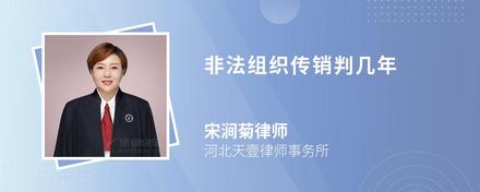 非法组织传销判几年