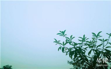1.如何处理欺骗消费者的虚假广告