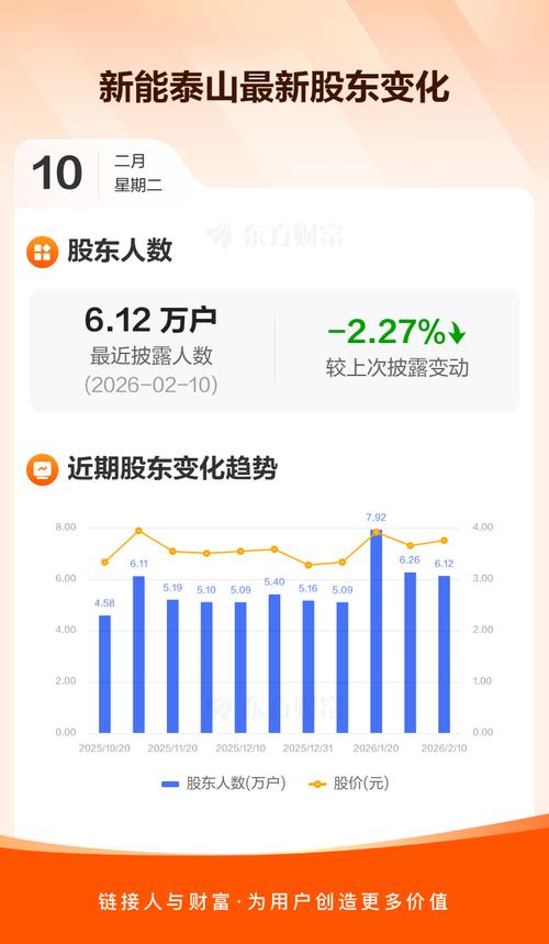 新能泰山资金流向解读_新能泰山股最新行情_新能泰山股票分析