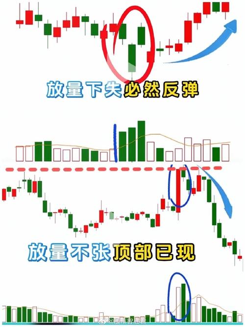 股价放量下跌是什么意思_低位放量跌机会_股票下跌放量判断