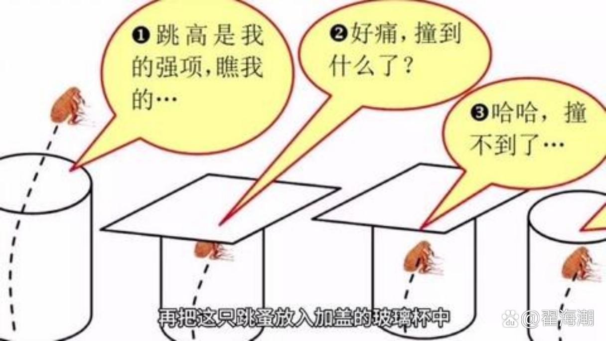 精选12篇_理发店早会激励文章_晨会销售励志小故事