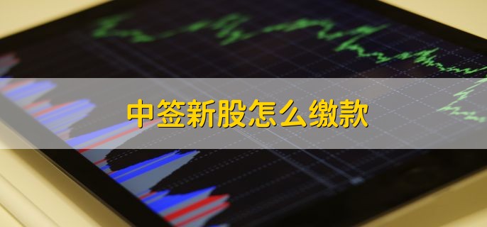 中签新股缴款三种方式，无网下配售新股涨幅须知