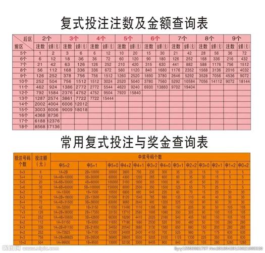 复式投注省时省力，有效投注额是什么意思？