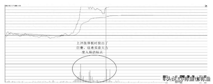 股票投机高手_交易者成功要素_股票操盘手不想告诉世人的秘密