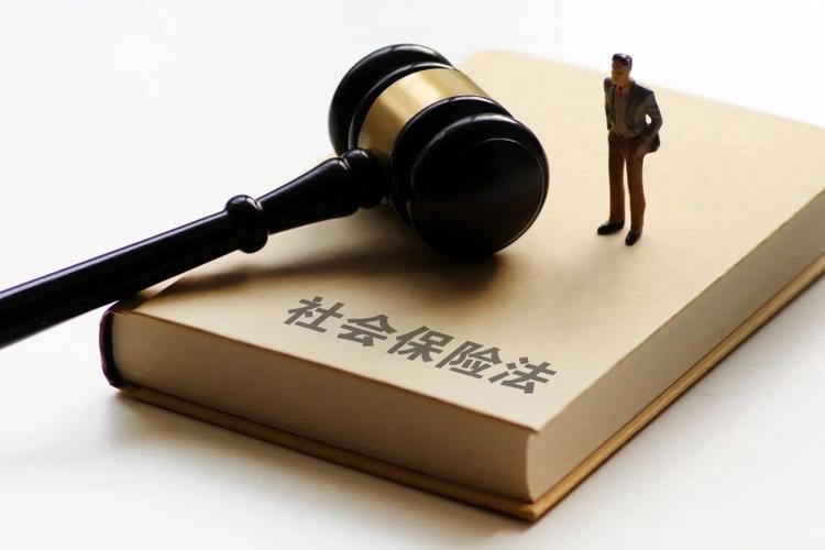 全国人大代表郑功成 修订中华人民共和国保险法 保险业高质量发展_最新保险法二年后