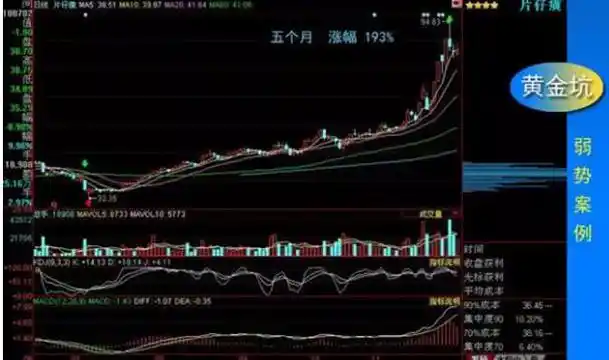 中国股市交易计划_黄金坑选股战法_股票k线图分析实验报告