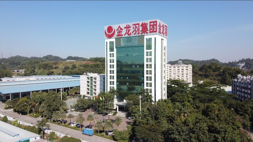 金龙羽2025年年报分析_金龙羽股票能涨到多少_金龙羽股票资金流向